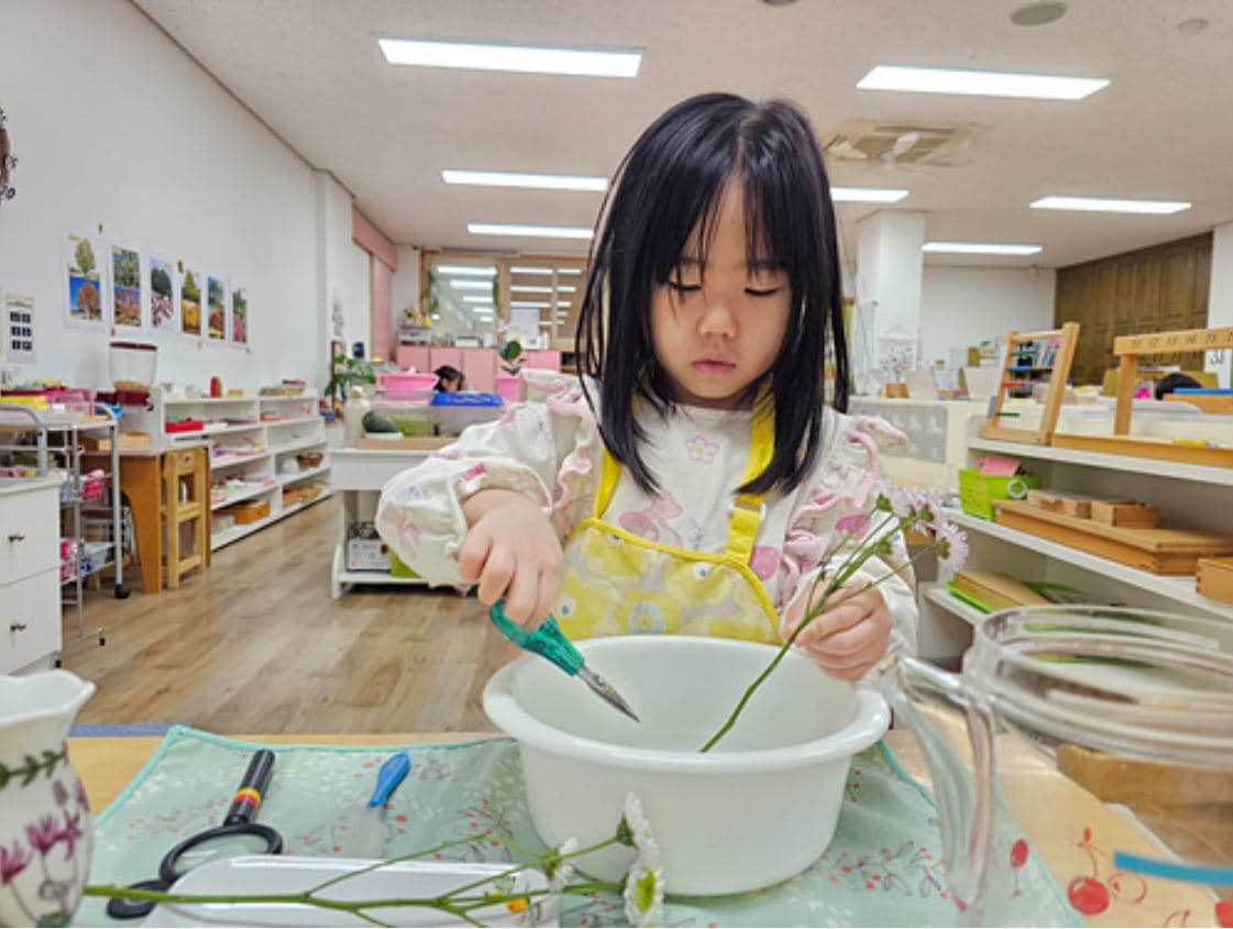 일상생활 영역 활동 2